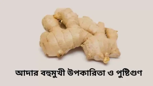 আদা খাওয়ার উপকারিতা